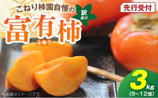 【先行受付】 訳あり 富有柿 3kg こねり柿園自慢の富有柿 KNR0708