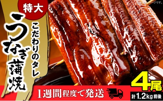 うなぎの蒲焼ビッグサイズ 4尾（計1.2kg前後） KP9406