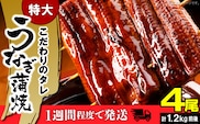 うなぎの蒲焼ビッグサイズ 4尾（計1.2kg前後） KP9406