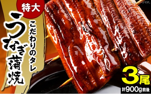 うなぎの蒲焼ビッグサイズ 3尾（計900g前後） KP9306