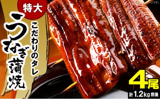 うなぎの蒲焼ビッグサイズ 4尾（計1.2kg前後） KP9406