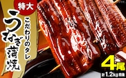 うなぎの蒲焼ビッグサイズ 4尾（計1.2kg前後） KP9406