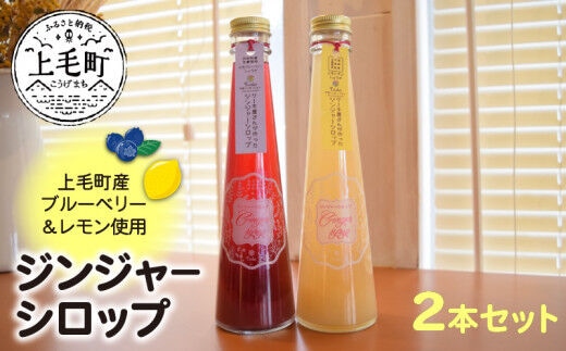 【上毛町産ブルーベリー＆レモン使用】ジンジャーシロップ2本セット KT0302
