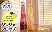 【上毛町産ブルーベリー＆レモン使用】ジンジャーシロップ2本セット　KT0302