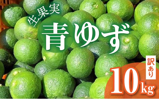 訳あり 青ゆず生果実 どっさり10kg MM0108