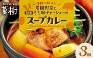 【ナチュラルファーム菓樹】農園野菜と自家製もち豚チャーシューのスープカレー 3個セット NK0206