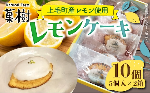 【ナチュラルファーム菓樹】レモンケーキ 10個（5個入×2箱）～上毛町産レモン使用～ NK1106