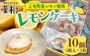 【ナチュラルファーム菓樹】レモンケーキ 10個（5個入×2箱）～上毛町産レモン使用～  NK1106