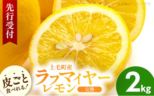 【先行受付】 上毛町産ラフマイヤーレモン 2kg （完熟レモン） OF0608