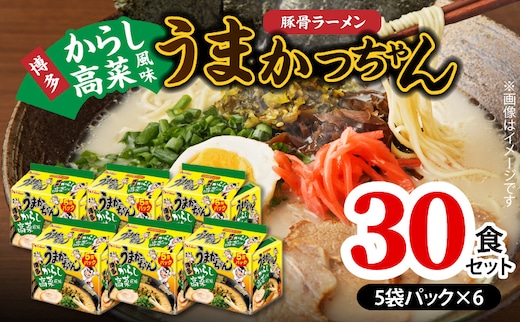 豚骨ラーメン うまかっちゃん 博多からし高菜風味 30食セット（5袋パック×6セット） PC8706