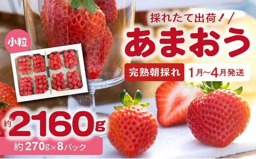 【完熟朝採れ】福岡県産ブランドいちご あまおう(小粒、約270g×8パック) R00302