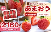【完熟朝採れ】福岡県産ブランドいちご　あまおう(小粒、約270g×8パック) R00302