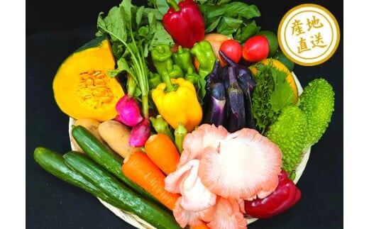 【大平樂厳選】旬の野菜詰め合わせ 10種程度 T04102