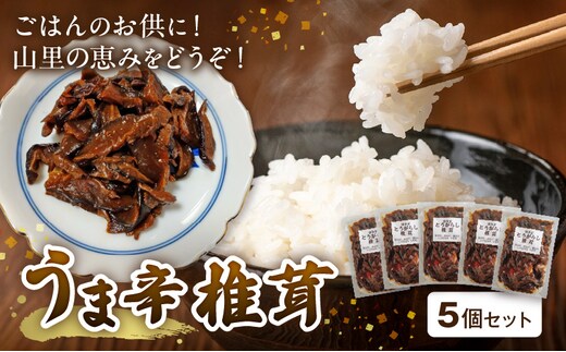 山里の恵み！うま辛椎茸５個セット T05804