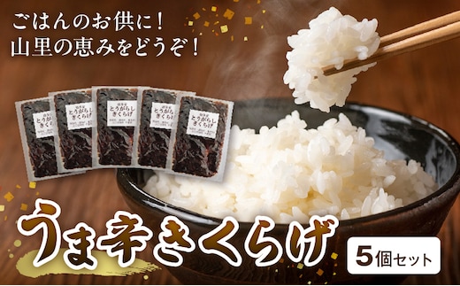 山里の恵み！うま辛きくらげ５個セット T06004