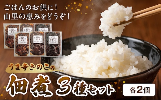 上毛町産 うま辛きのこの佃煮3種（椎茸・平茸・きくらげ）×2セット T06204