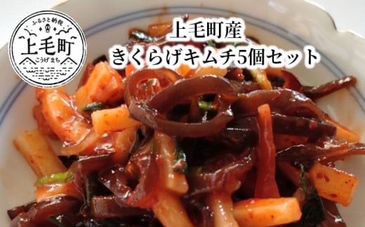 上毛町産 きくらげキムチ5個セット T06404