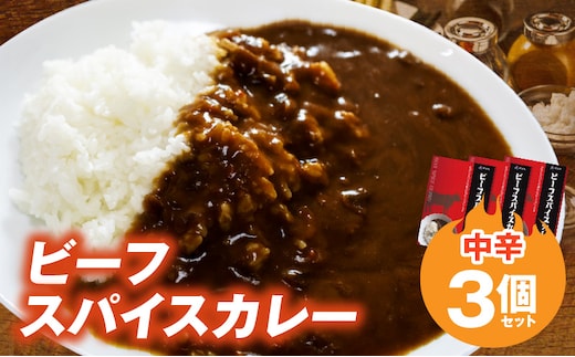 ビーフスパイスカレー3個セット T07205