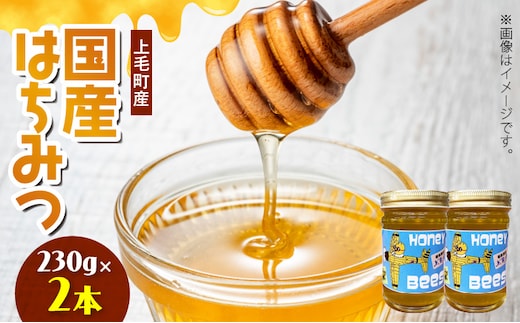 国産はちみつ（上毛町産）230g×2本 T07906