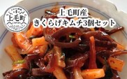 上毛町産　きくらげキムチ3個セット　T06304