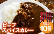 ビーフスパイスカレー10個セット T07405