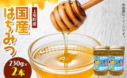 国産はちみつ（上毛町産）230g×2本 T07906