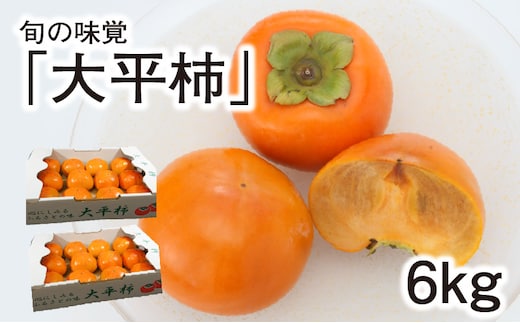 旬の味覚「大平柿」6kg T03401