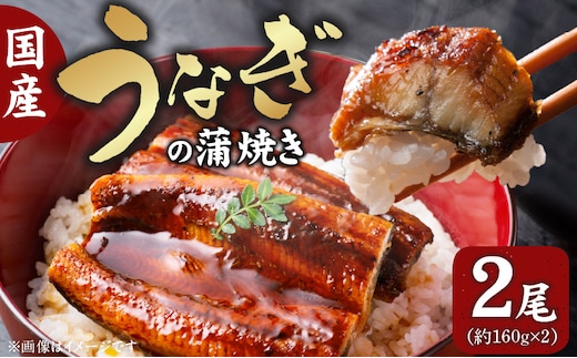 国産うなぎの蒲焼き 2尾 T08006
