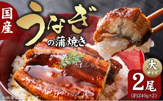国産うなぎの蒲焼き 大サイズ×2尾 T08106