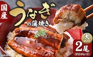 国産うなぎの蒲焼き　大サイズ×2尾 T08106