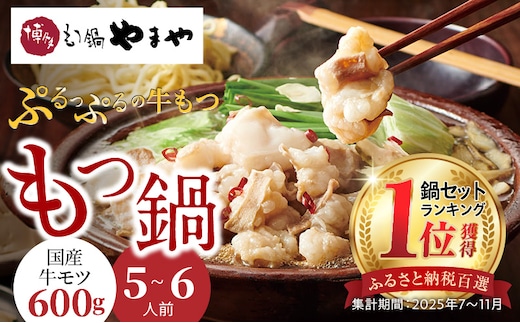 国産牛モツたっぷり600g！大容量5-6人前 やまやの博多もつ鍋セット TY2802