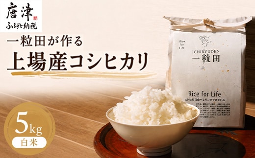 一粒田が作る上場産コシヒカリ 5kg (白米) 精米 コメ お米 ごはん こしひかり