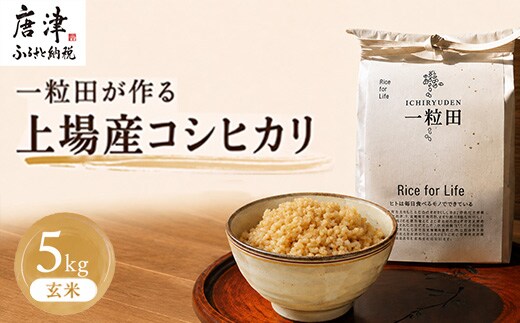 一粒田が作る上場産コシヒカリ 5kg (玄米) コメ お米 ごはん こしひかり