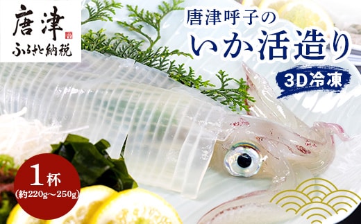 唐津呼子産いか活造り 1杯(約220g～250g) 急速冷凍 新鮮そのまま食卓へ！イカ 刺身 簡単 ギフト