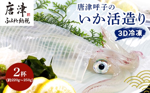 唐津呼子産いか活造り 2杯(約220g～250g×2) 急速冷凍 新鮮そのまま食卓へ！イカ 刺身 簡単 ギフト
