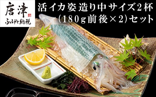 活イカ姿造り中サイズ2杯(180g前後×2)セット！ 鮮度抜群 捌きたて瞬間冷凍 いか活造り 刺身 簡単 呼子 ギフト