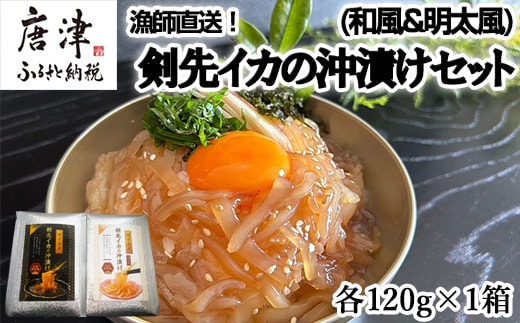 『先行予約』【令和8年7月上旬より順次発送】新鮮！漁師直送！剣先イカの沖漬け(和風&明太風)セット 各120g×1箱 漁師飯 肴 おつまみ ご飯のお供 ギフト
