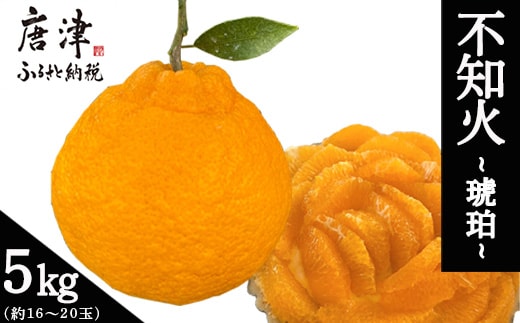 『先行予約』【令和8年2月中旬より順次発送】唐津産 不知火(琥珀) 約5kg(約16～20玉) デコポン でこぽん ミカン みかん 柑橘 フルーツ 果物