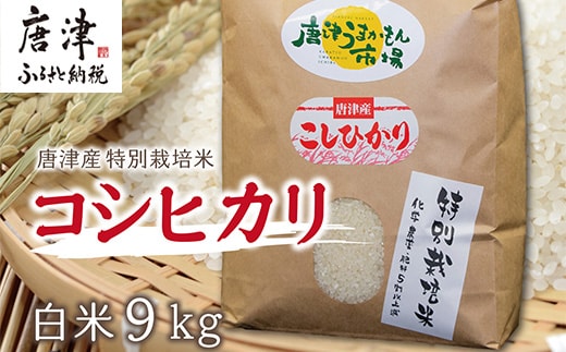 唐津産特別栽培米 コシヒカリ(白米) 4.5kg×2袋(合計9kg) ご飯 コメ お米