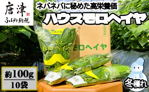 冬穫れハウスモロヘイヤ 100g×10袋 ネバネバ 高栄養価（βカロテン/各種ビタミン/カルシウム/カリウム/葉酸など) 定番おひたし 和洋中の各種スープ 色んなお料理のソースにも 野菜 ねばねば