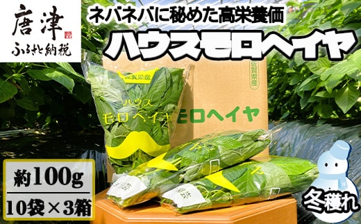 『先行予約』【12月上旬より順次発送】冬穫れハウスモロヘイヤ 100g×10袋×3箱 ネバネバ 高栄養価（βカロテン/各種ビタミン/カルシウム/カリウム/葉酸など) 定番おひたし 和洋中の各種スープ 色んなお料理のソースにも 野菜 ねばね