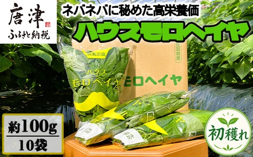 初穫れハウスモロヘイヤ 100g×10袋 ネバネバ 高栄養価（βカロテン/各種ビタミン/カルシウム/カリウム/葉酸など) 定番おひたし 和洋中の各種スープ 色んなお料理のソースにも 野菜 ねばねば