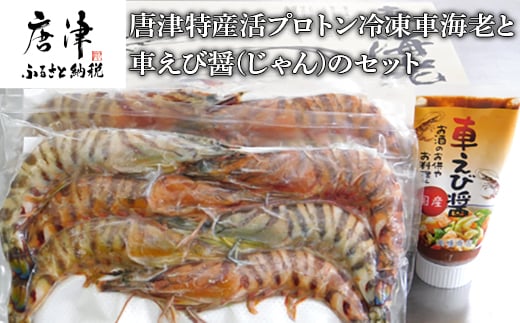 唐津特産活プロトン冷凍車海老と車えび醤(じゃん)のセット(250g×2P 醤90g) 刺身 フライ 煮付 ギフト