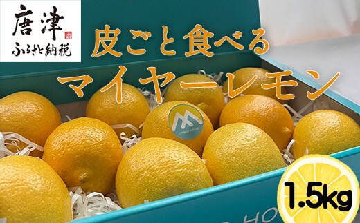 皮ごと食べる マイヤーレモン 1.5kg 唐津産 柑橘 レモン れもん 檸檬
