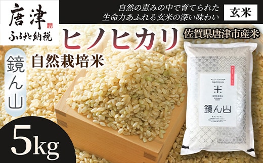 【小粒で旨みのある味わい】自然栽培米5kg ヒノヒカリ(玄米) 1袋 玄穀ごはん 丼料理向き チャーハン向き 家庭用 食卓用主食 日本産穀物 料理向きご飯 プレミアム米 国産米