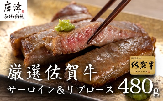 厳選佐賀牛 サーロインステーキ180g リブローススライス300g 2種(合計480g)セット