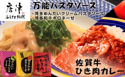 佐賀牛ひき肉カレー(180g×3食)と万能パスタソース(博多めんたいクリームパスタソース120g×3袋・博多和牛ボロネーゼ120g×3袋)セット 簡単 レトルト スパゲッティ「2024年令和6年」
