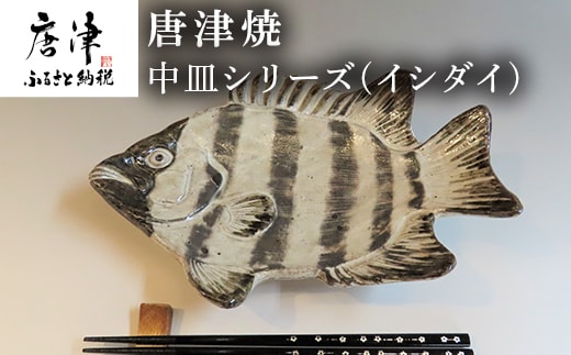唐津焼 お魚 中皿シリーズ(イシダイ) 料理 食器
