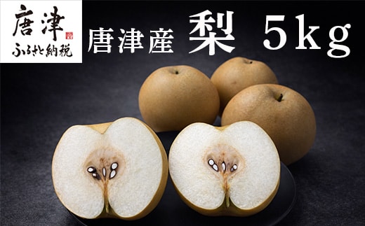 『先行予約』【令和8年7月上旬より順次発送】唐津産 梨 5kg【旬の味覚】果物 フルーツ 幸水 豊水