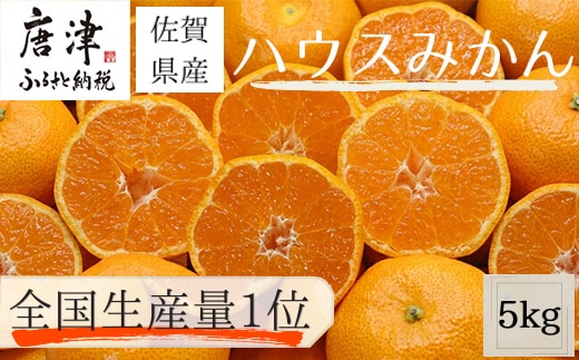 『先行予約』【令和9年7月上旬より順次発送】【全国出荷量1位】佐賀県ハウスみかん 5kg 高級甘熟みかん 果物フルーツ 柑橘